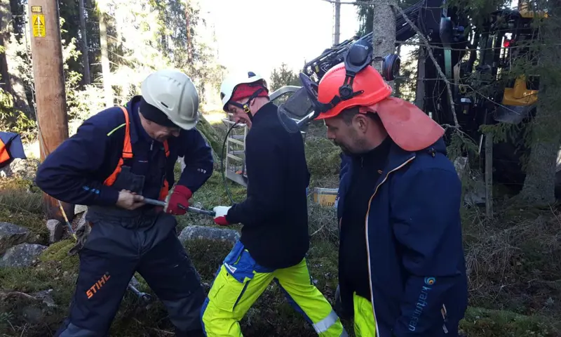 Om vädret tillåter påbörjar vi flygningen i Skåne i slutet av vecka 15 och fortsätter norrut genom Blekinge och Småland. För att vi ska kunna inspektera ledningarna måste vi flyga på ganska låg höjd. Men självklart tar vi extra hänsyn till hästar och andra betesdjur för att de ska störas så lite som möjligt.