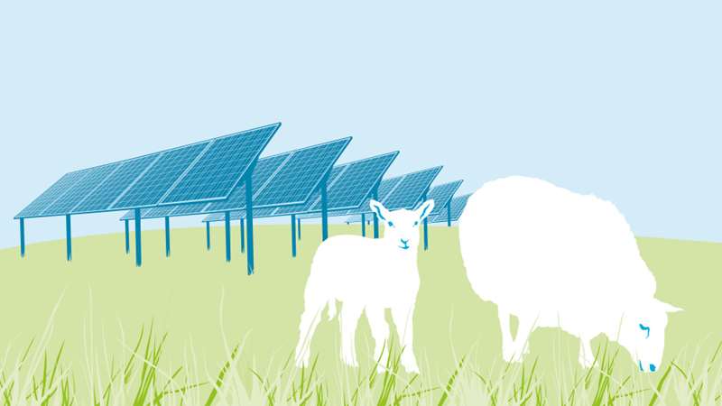 Väkommen till invigningen av solkraftsparken i Forsby utanför Klippan. ﻿Den 4 oktober inviger Kraftringen bolagets första solcellspark i Forsby i Klippan. Den kommer att bidra med produktion av förnybar el och hjälper också till att öka den biologiska mångfalden och främjar lokal samverkan.