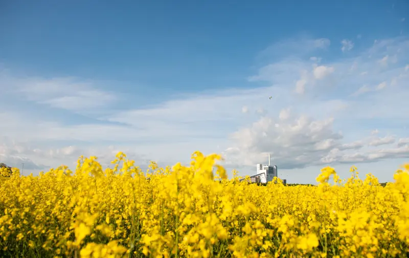 Arbetet för en omställning till ett mer hållbart energilandskap står i fokus för Kraftringen. 2018 nåddes målet om 100% fossilbränslefri produktion, 2022 lanserade Kraftringen en miljövarudeklaration för hela fjärrvärmeleveransen i Lund, Lomma och Eslöv. Nu tas nästa steg, då Kraftringen även miljövarudeklarerar såväl fjärrkylaleveransen som el från Örtofta kraftvärmeverk.