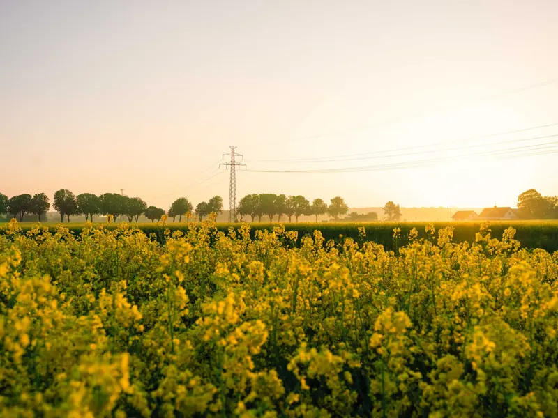 Kraftringen Nät har under de senaste åtta åren investerat kraftigt i elnätet för att stärka kapaciteten och möjliggöra elektrifiering samt tillväxt. Framöver väntar successiva sänkningar av elnätsavgiften, med en första sänkning på cirka 7 procent från 1 juli 2026.