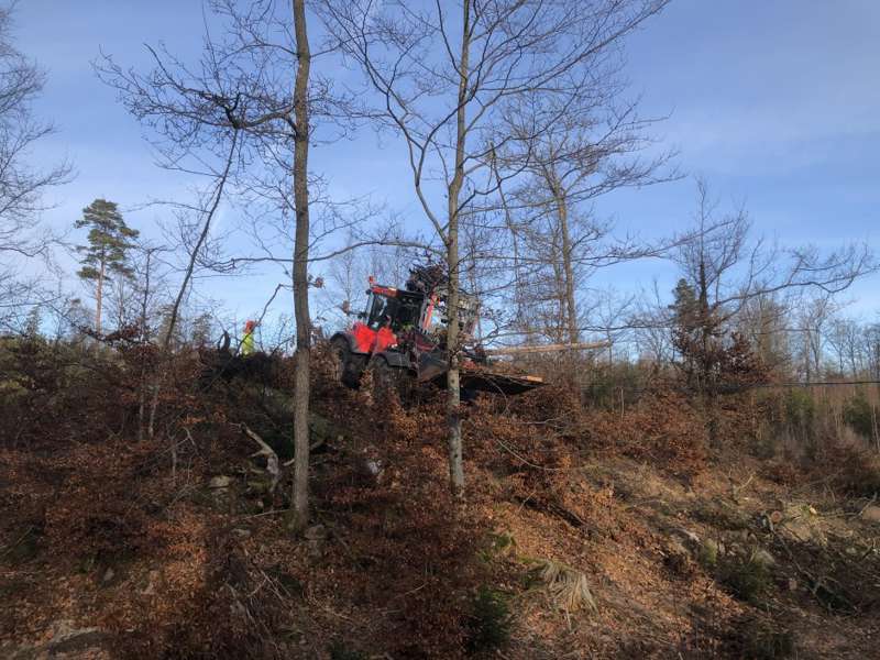 - Tack vare ett snabbt agerande från Kraftringens driftpersonal och stora insatser från Kraftringens fältpersonal kunde antalet strömlösa kunder i Eslöv minska snabbt, säger Åsa Svensson affärsområdeschef nät på Kraftringen.
