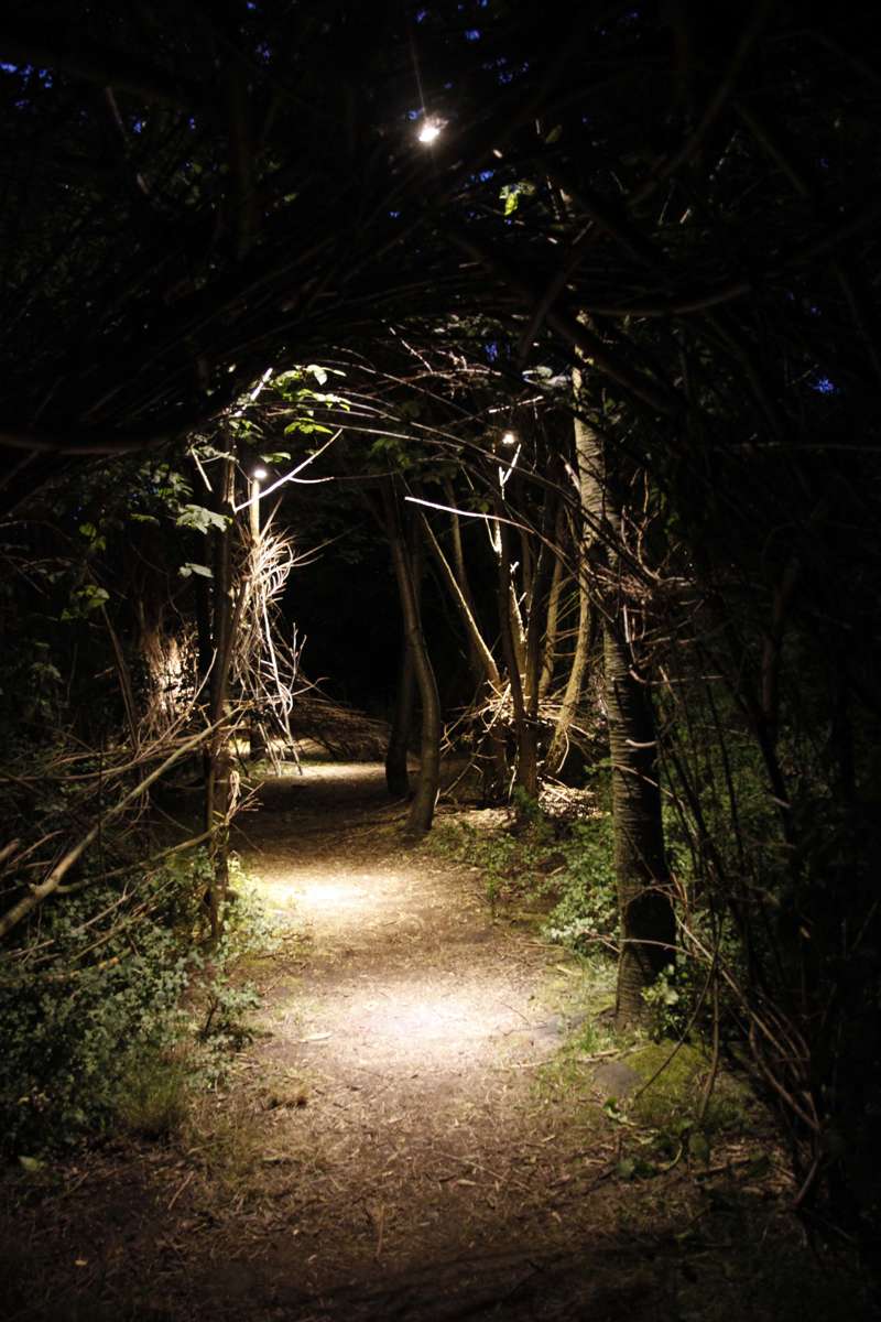 Under sommaren kommer ljusinstallationer som Lunds kommun och Kraftringen tagit fram, att lysa upp kojskogen i Solbjersparken på Brunnshög för att göra den tillgänglig, spännande och trygg även när mörkret har lagt sig. Belysningen, som sprider sitt magiska sken varje kväll när gatubelysningen tänds, är en del i Kraftringens ljussättningsprojekt för Brunnshög som kallas ”Brighter Brunnshög”.