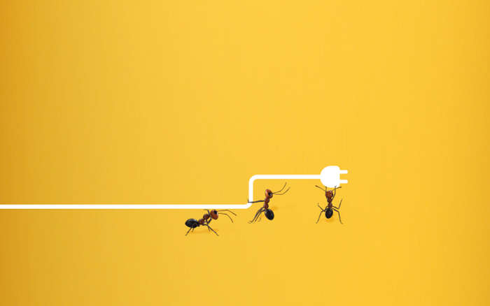 Illustration med myror som håller en elkabel