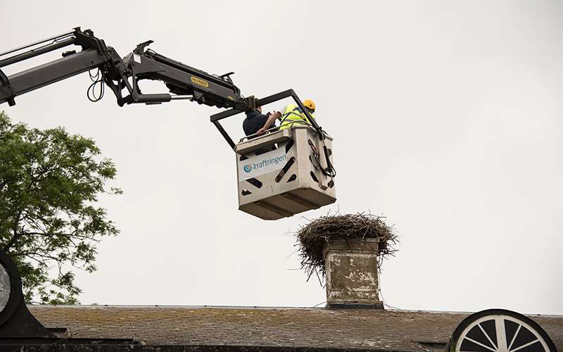 Kranbilskorg upphissad till ett storkbo som är byggt på skorstenen på ett hustak