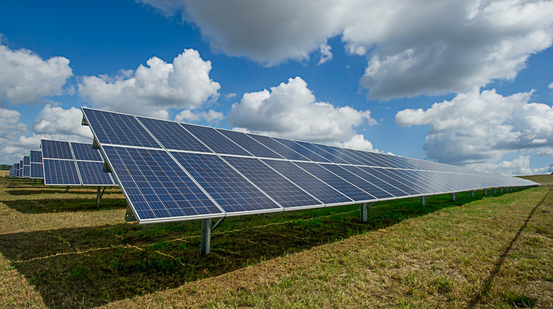 Foto som föreställer solpark på betesmark, av American Public Power Association.